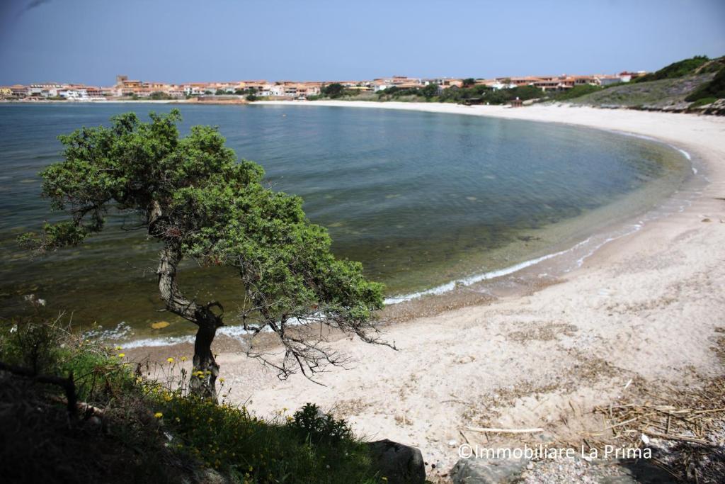 Appartamenti Ideal Isola Rossa  Exteriör bild